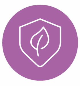 ELA_Web_Icons-24